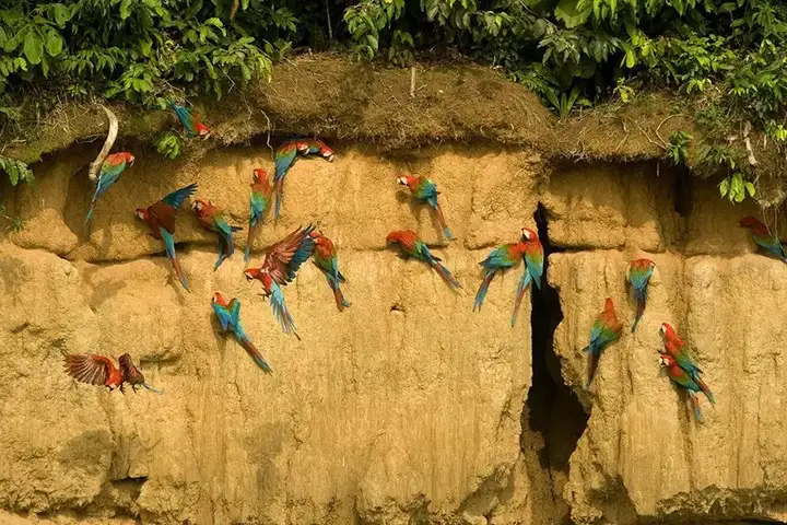 上下五千年，秘鲁居然是地球另一端的文明古国？