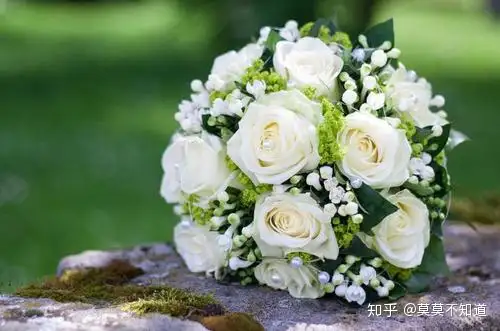 高手整理的婚礼筹备计划，看完办婚礼变简单！