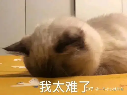 新买飞机杯怎么洗新入手的飞机杯要怎么清洗