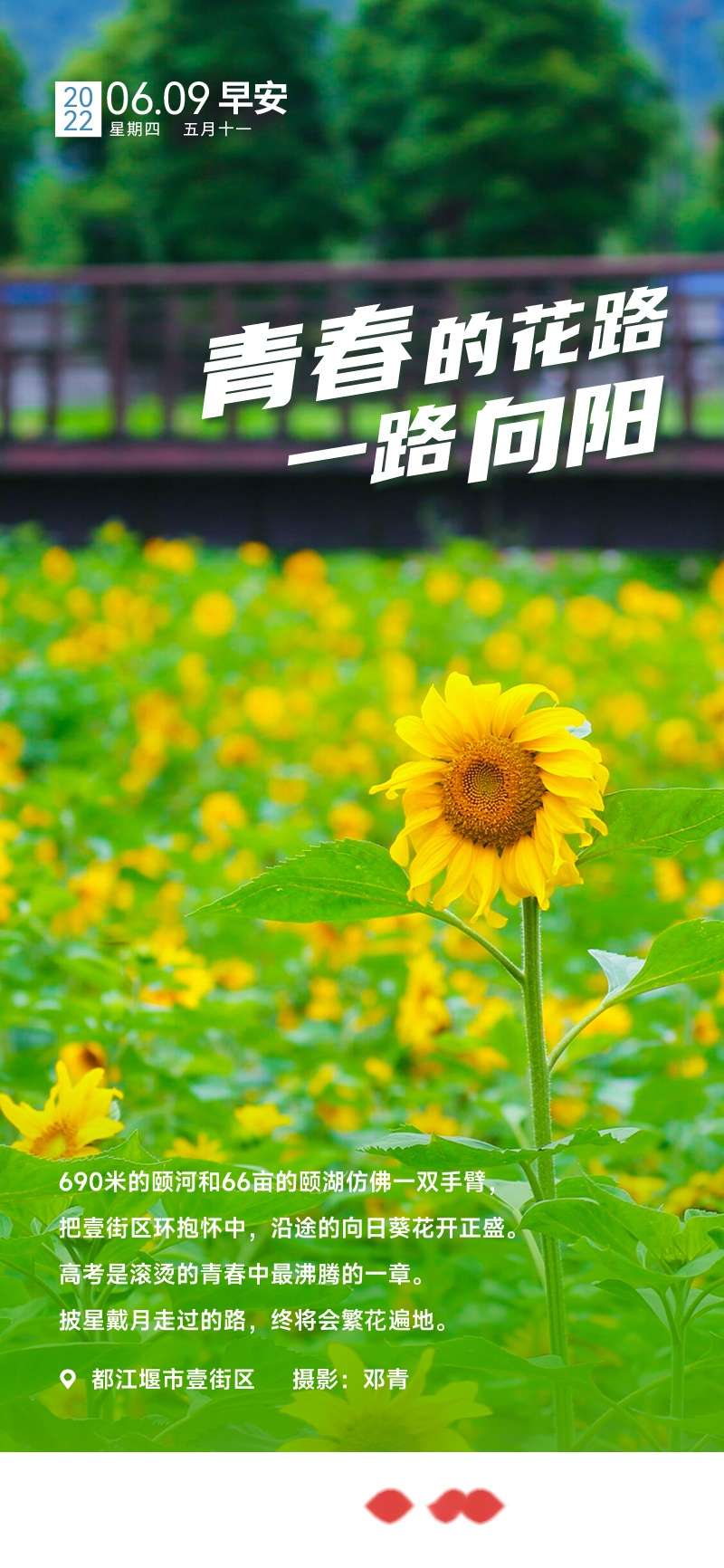 爱看头条 青春的花路一路向阳 6月9日 知乎 爱看头条 青春的花路一路向阳 6月9日 知乎