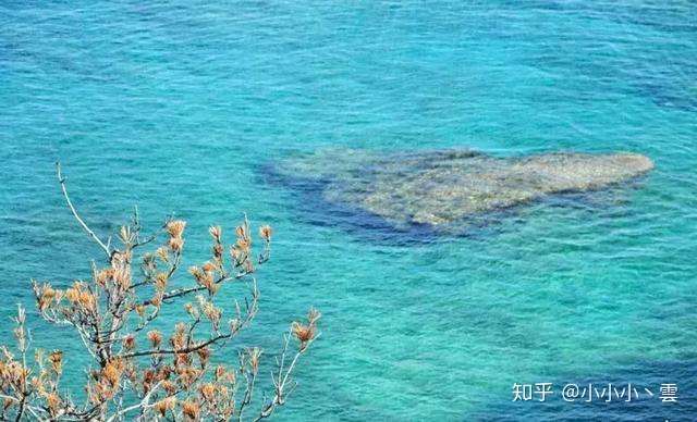 和歌山 意外地爱上你 知乎