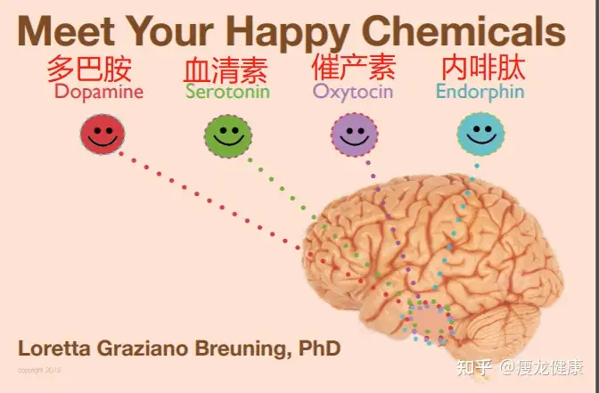 4種快樂激素：能讓你爽，讓你上癮，讓你開心- 知乎