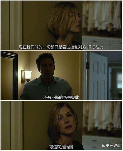 消失的爱人电影影评