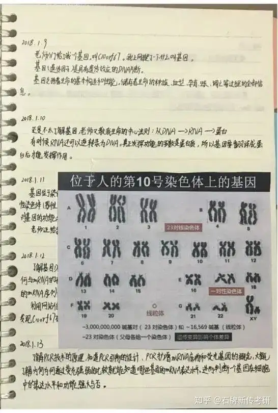 小学生研究癌症获奖 引质疑 起跑线焦虑下 教育公平如何保证 知乎 小学生研究癌症获奖 引质疑 起跑线焦虑下 教育公平如何保证 知乎