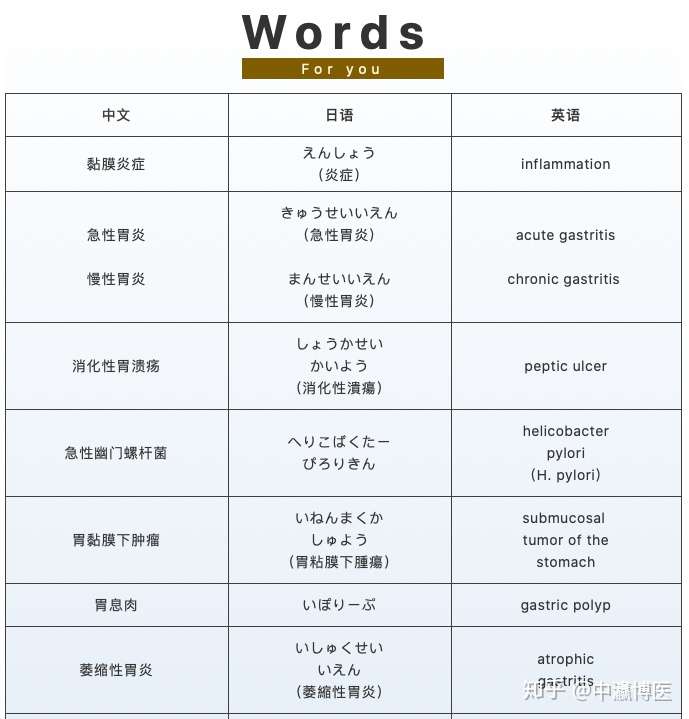 医学中日英 之 胃 你添翼 知乎