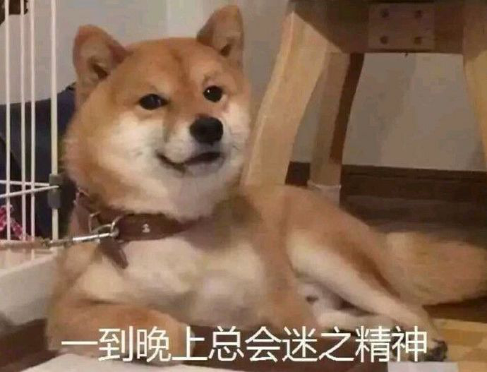 2020-2021年的网络沙雕文案句子搞笑:摩天轮就像个花圈插图9 2020-2021年的网络沙雕文案句子搞笑:摩天轮就像个花圈插图9