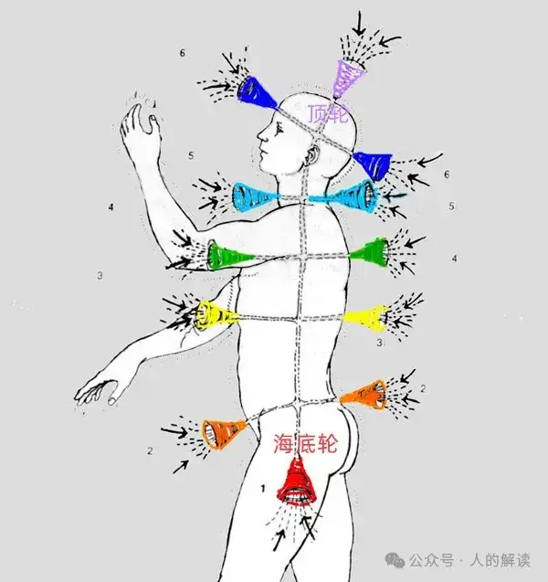 海底轮能量的平衡，关系着你的显化和安全感-人的解读