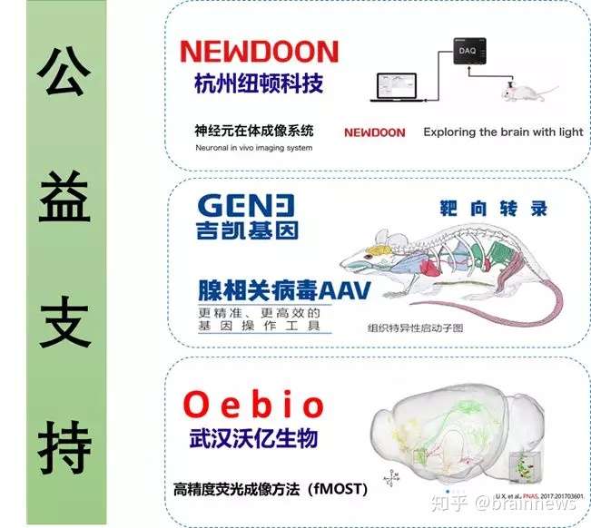 或许 人类意识只是大脑无意识的产物 知乎