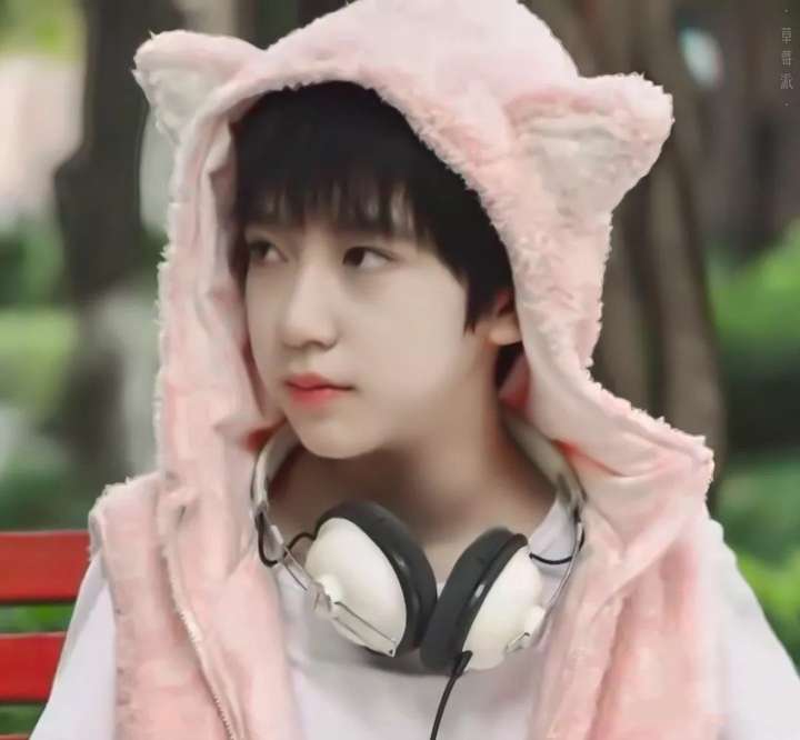 这样说吧,老阿姨结婚很多年想丁克,就是因为看到贺峻霖小时候的样子