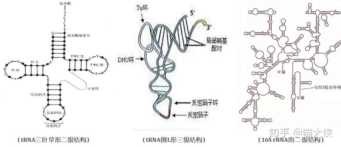 知乎专栏