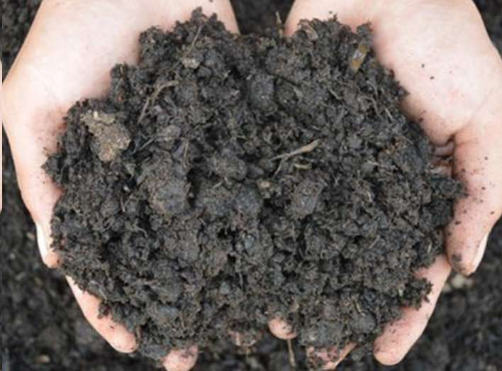 她养的花卉盆栽土都靠自己配 花儿长的贼好看 知乎