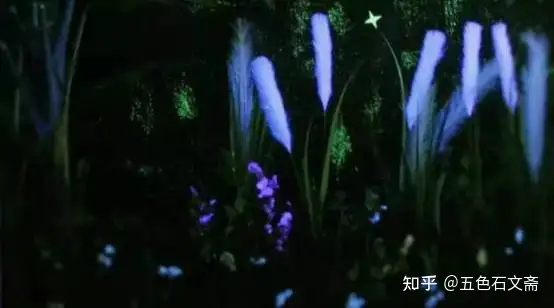 苏轼咏洋州之《过溪亭/披锦亭/禊亭/菡萏轩》赏析