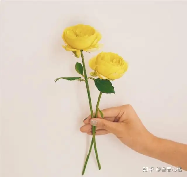 2021端午节祝福语，简短温馨，节日快乐！
