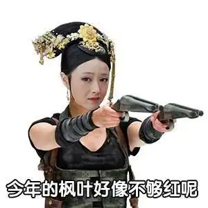 表情包:甄嬛传拿枪表情包