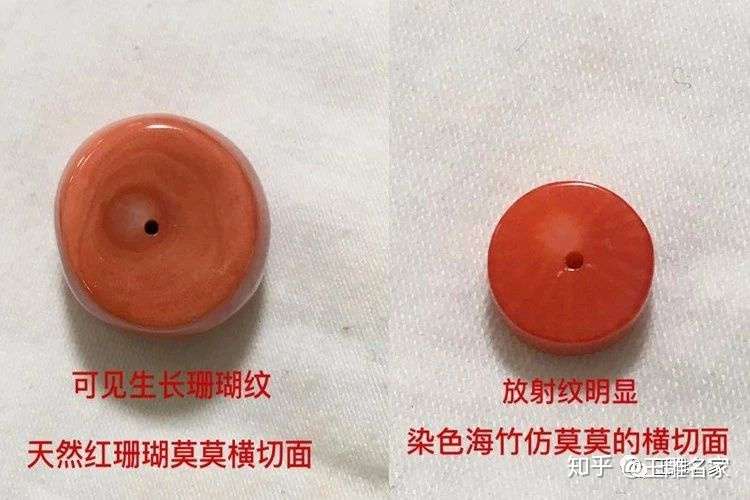 真假红珊瑚比较图 天然红珊瑚真假对照图 知乎