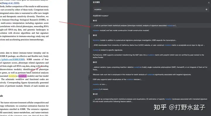 ReadPaper