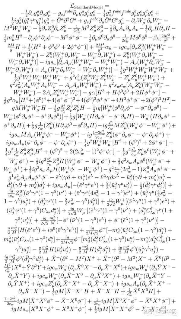 标准模型的拉格朗日量