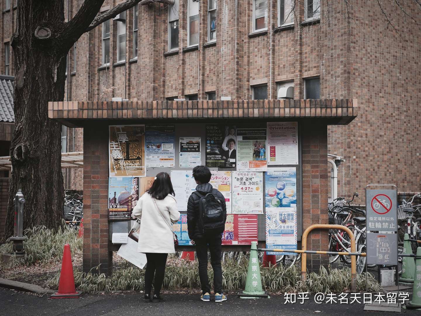 日本最受留学生青睐的九大理科专业 知乎