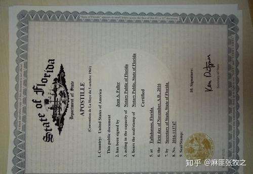 香港办理国际海牙认证的流程是什么