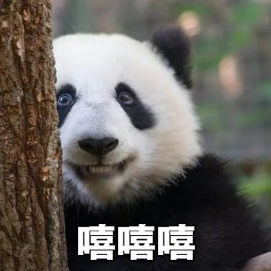 giao熊猫表情包图片