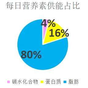 生酮治療與生酮減脂的關係