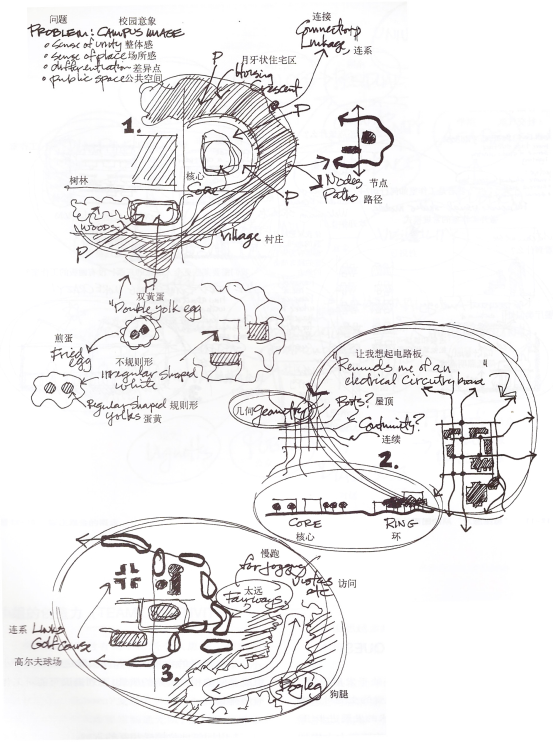 景观设计画泡泡图,究竟是在画什么?