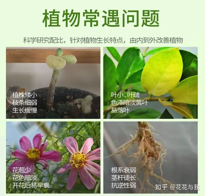 养花必备6种药，对于花卉常见虫害和养护，效果出奇的好！ - 知乎