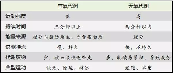 有氧运动与无氧运动 哪个更能减肥 知乎