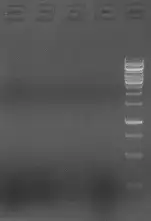 知乎专栏