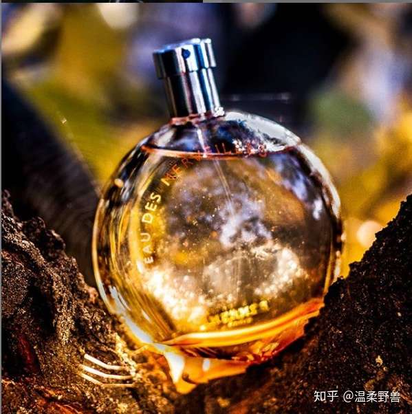 这些香水应该摆在卢浮宫