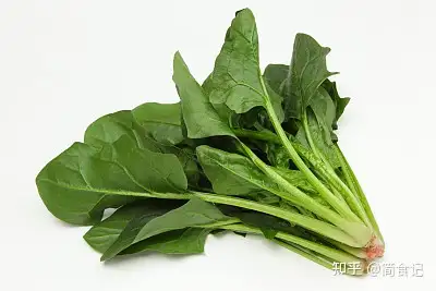 春天买菠菜时选圆叶还是尖叶菜农要牢记3不要