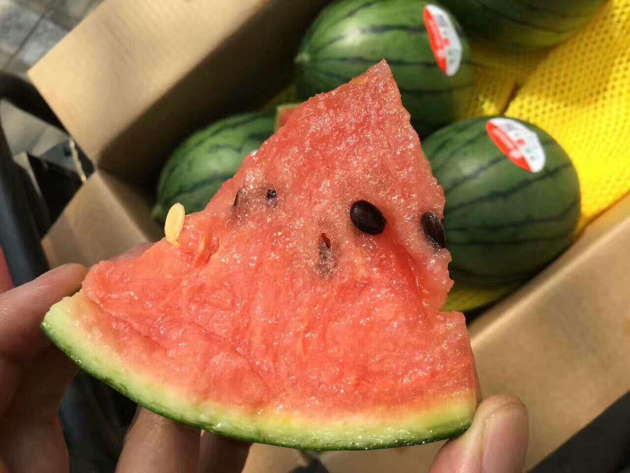 安利创客 的想法: 牛奶爆瓜 - 知乎