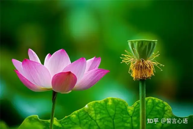 特别暖心的早安一句话，简短精致，越看越爱！（一句暖心的早安心语）