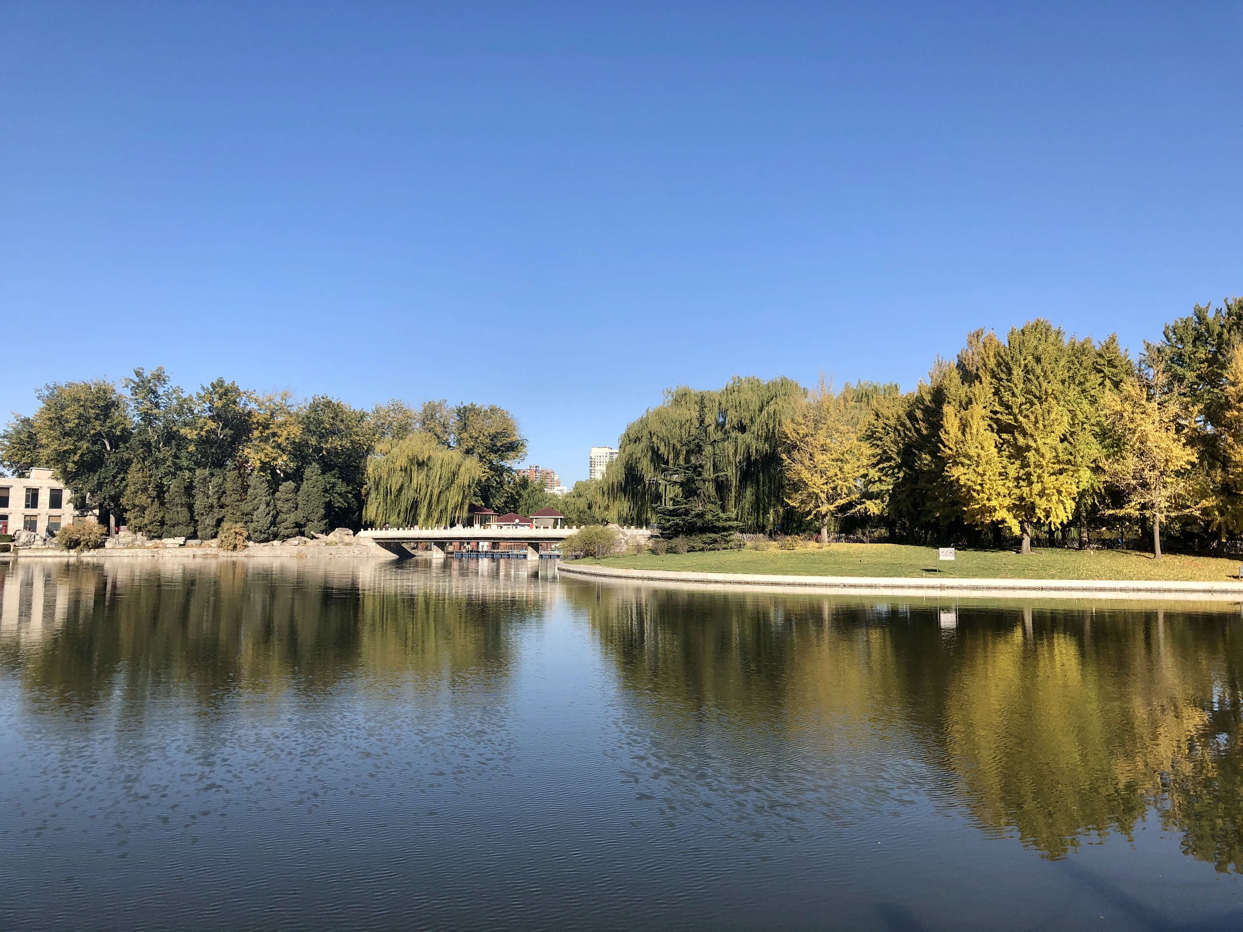 晚晚晴晴 的想法: 再伟大的画师也画不出自然之美 | 画师的… - 知乎