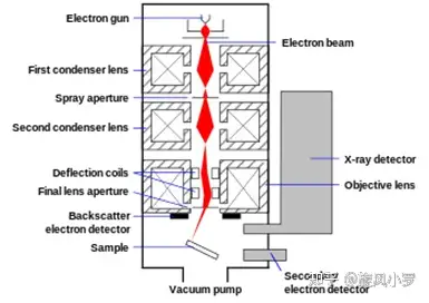 扫描电子显微分析sem