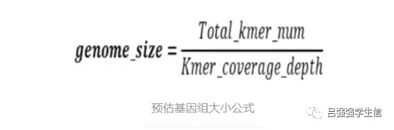 jellyfish进行kmer评估基因组大小