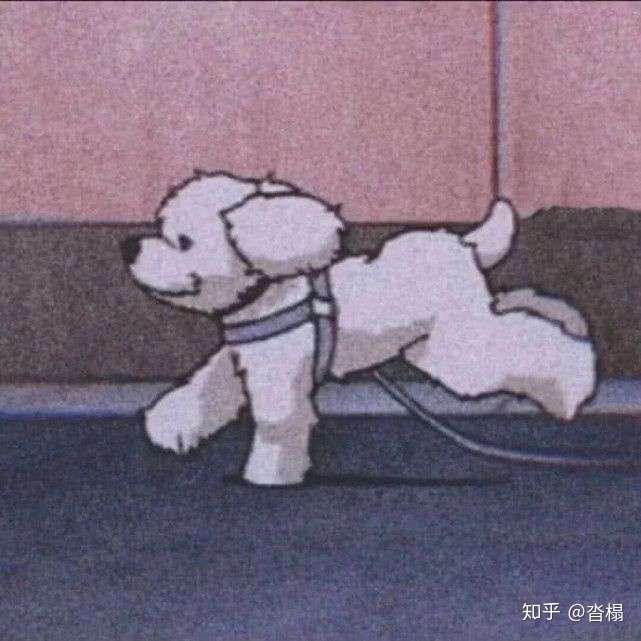 想要人遛狗的情头求求