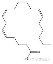 花生四烯酸结构式图片