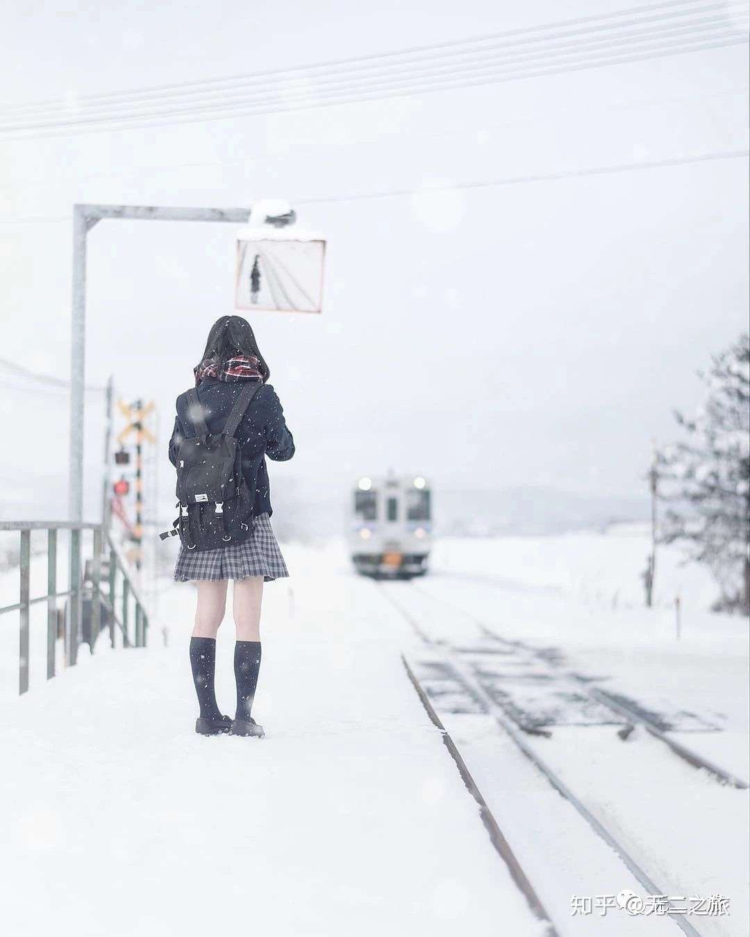 北海道下雪了 初雪 北海道旅游线路 知乎