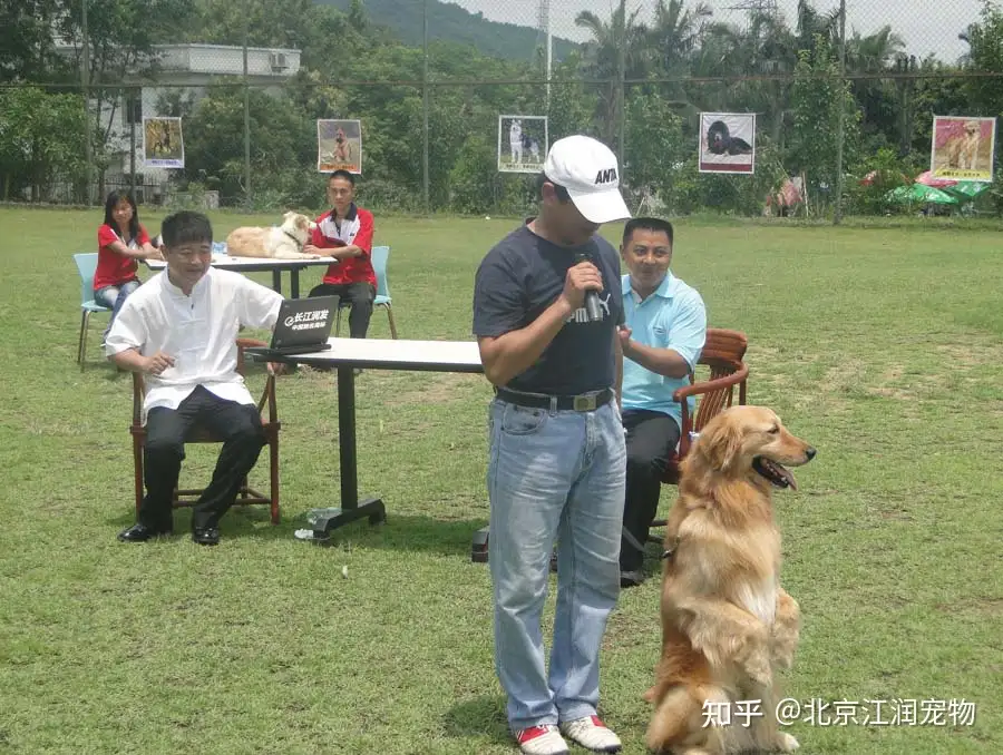 训犬讲堂第七课犬匍匐前进的训练 知乎