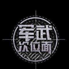 军武次位面 知乎