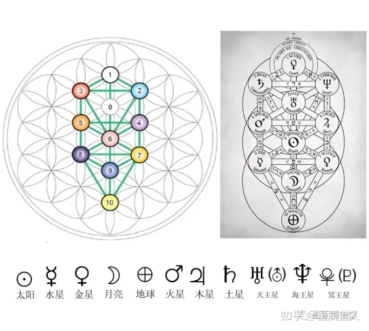 死亡之花和生命之花的区别(图13)