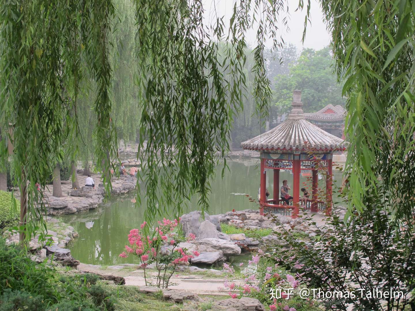 大多数人认为公园里的空气污染较轻 但事实不是这样 知乎