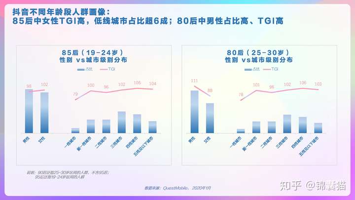 2020抖音用户画像分析