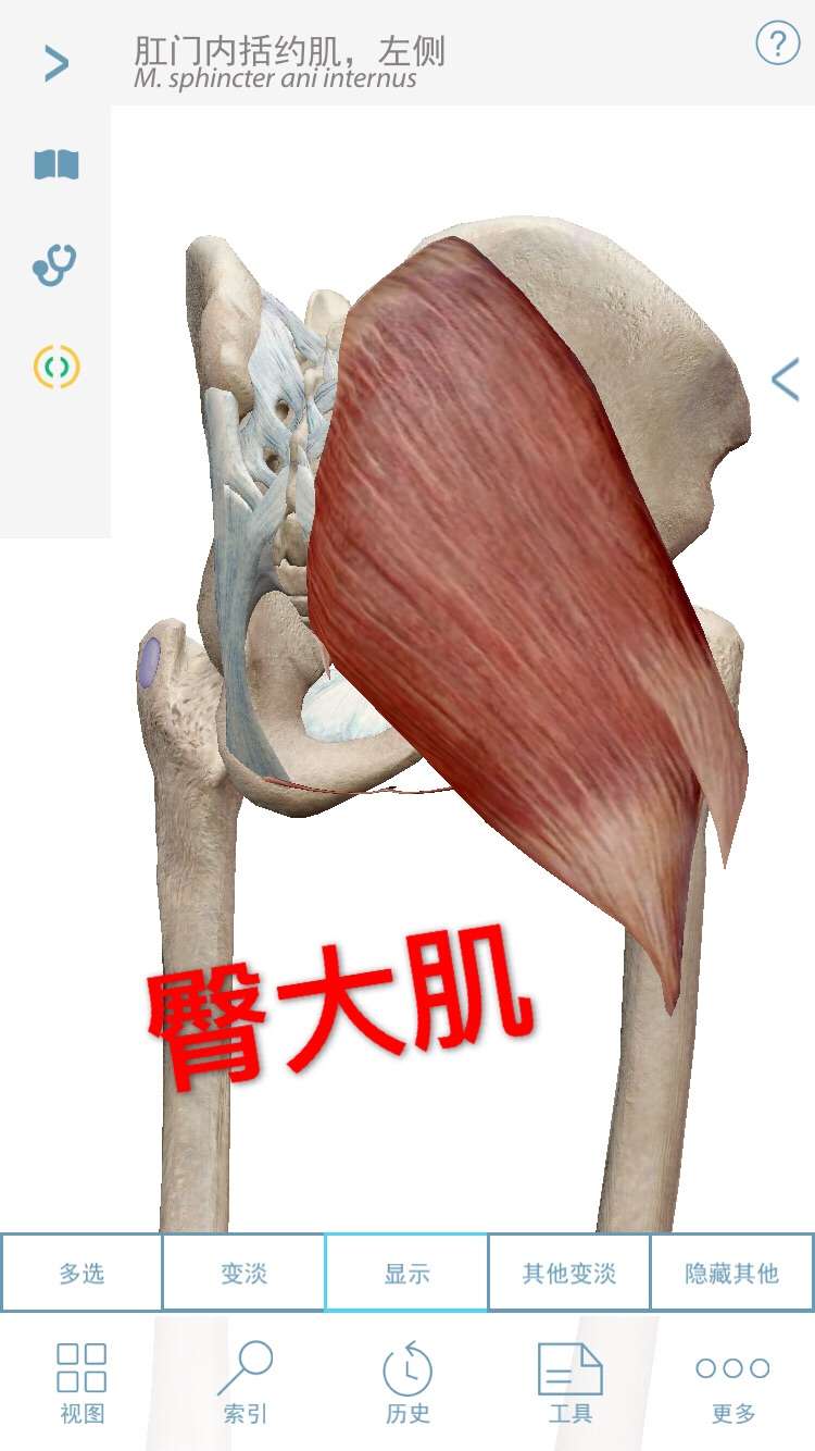 案例分析骶骨骨折与尾巴儿痛之间的关系 知乎