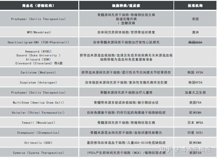 干细胞有望让罕见病不 罕治 知乎