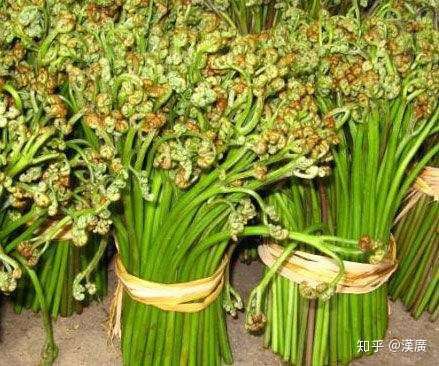 哪些菜让你感觉发现了新大陆?