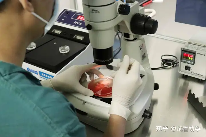 成都供卵试管哪家好（超详细试管婴儿全流程，让你提前规划，备孕工作两不误！）