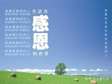 今日感恩节，经典的感恩语句，句句入心！感恩节快乐！