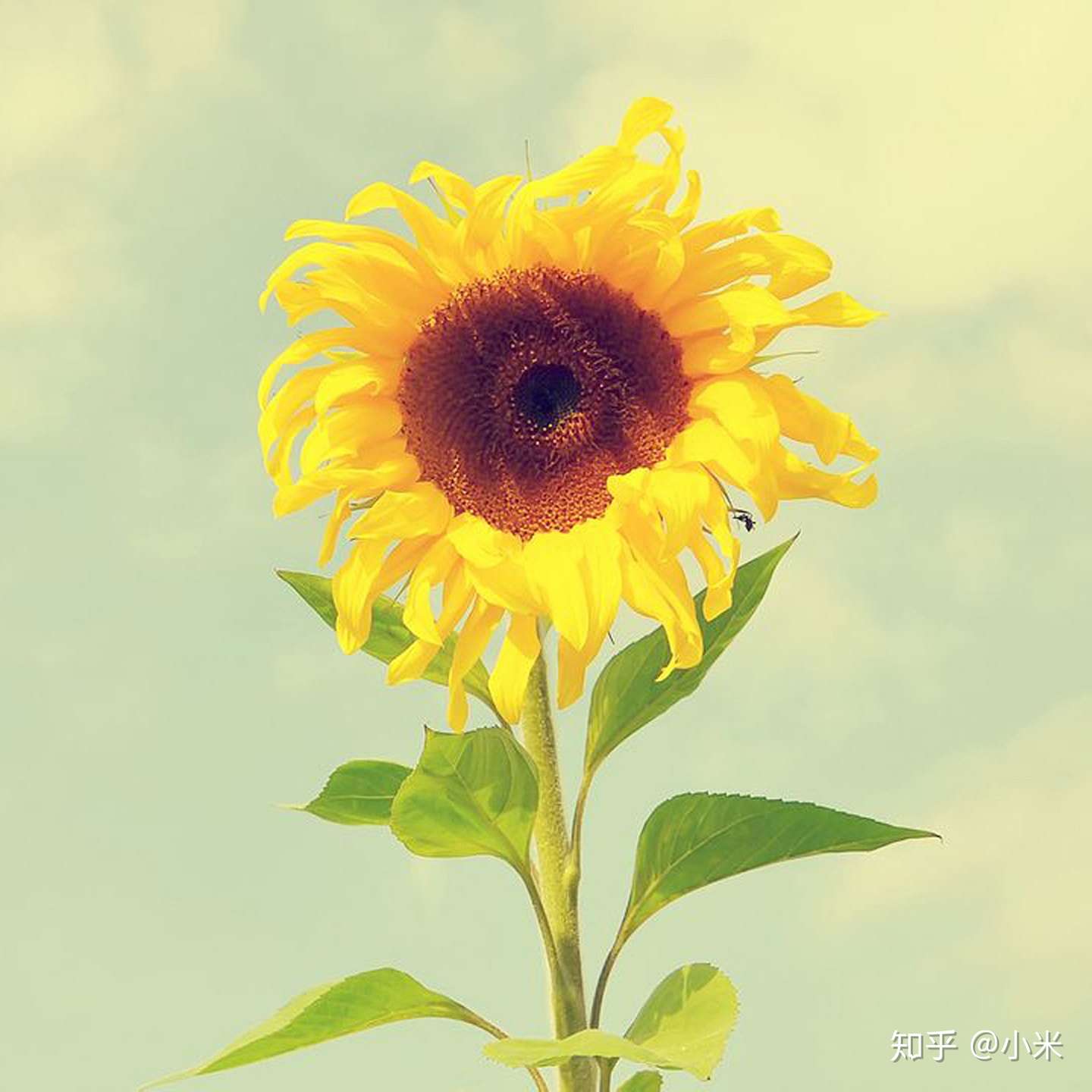 入目无他人 四下皆是你 知乎